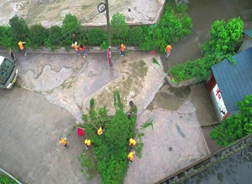 1626008642499042402.png image.png