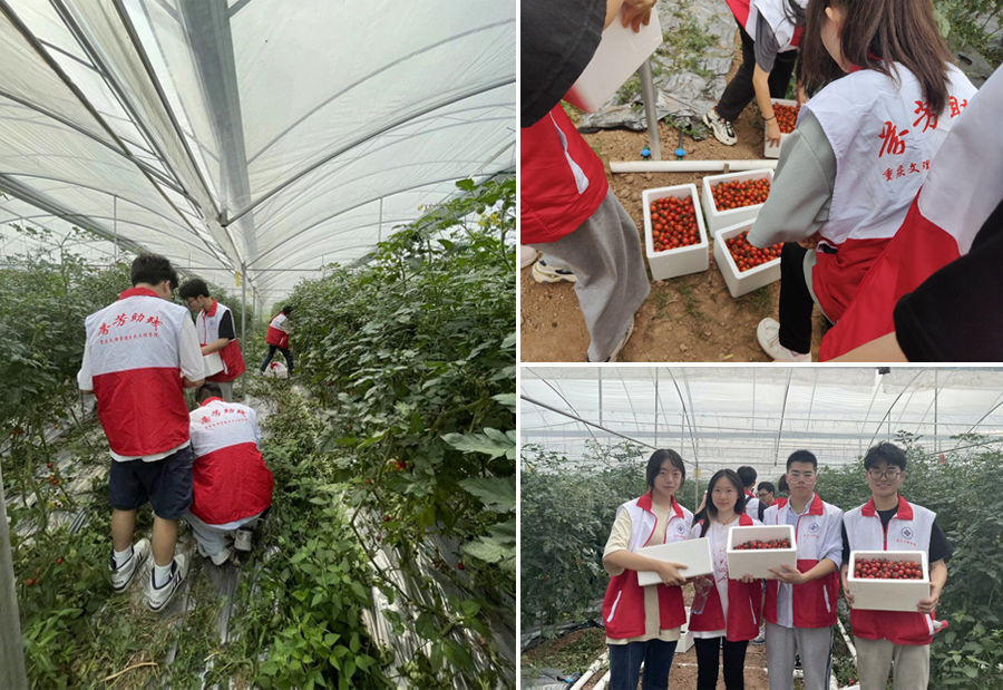 zqOM_1685510028075094107.jpg 1.jpg