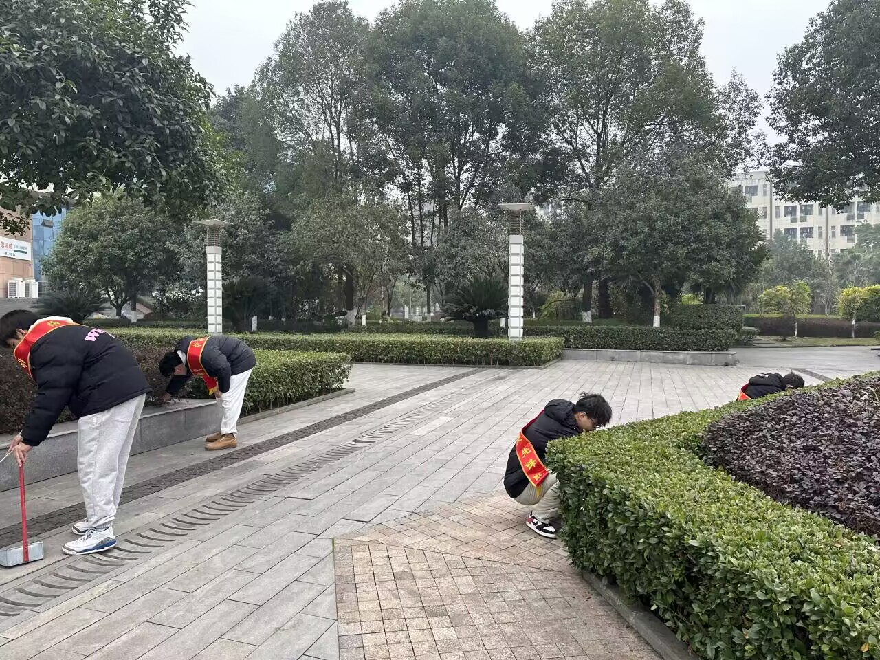 iHcF_1704358025418073459.jpg QQ图片20240104164151.jpg